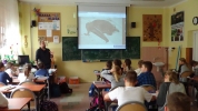 nietoperze5.JPG