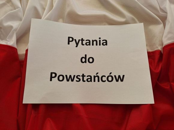 Pytania do powstańców