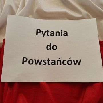 Pytania do powstańców